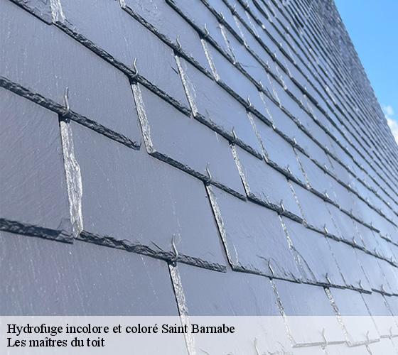 Hydrofuge incolore et coloré  22600