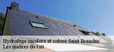 Hydrofuge incolore et coloré  22800