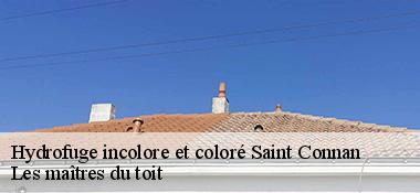 Hydrofuge incolore et coloré  22480