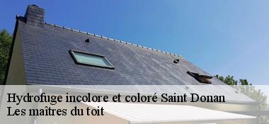 Hydrofuge incolore et coloré  22800