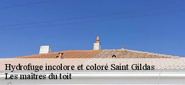 Hydrofuge incolore et coloré 22800