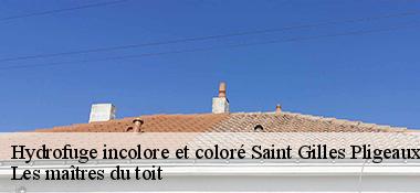 Hydrofuge incolore et coloré 22480