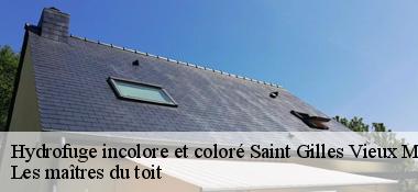 Hydrofuge incolore et coloré 22530