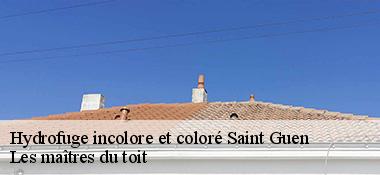 Hydrofuge incolore et coloré  22530