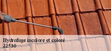 Hydrofuge incolore et coloré  22530