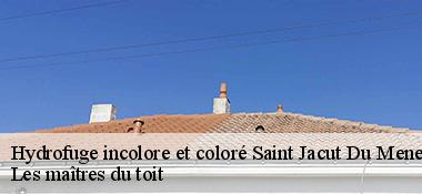 Hydrofuge incolore et coloré 22330