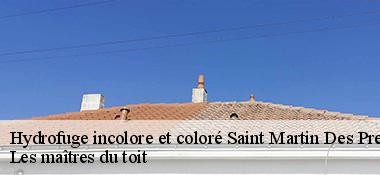 Hydrofuge incolore et coloré  22320