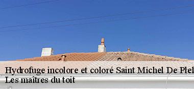 Hydrofuge incolore et coloré  22980
