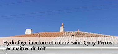 Hydrofuge incolore et coloré  22700