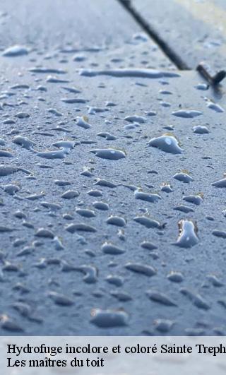 Hydrofuge incolore et coloré  22480