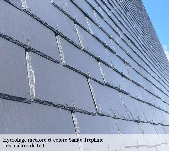 Hydrofuge incolore et coloré  22480