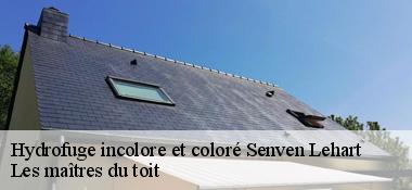 Hydrofuge incolore et coloré  22720