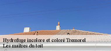 Hydrofuge incolore et coloré  22230