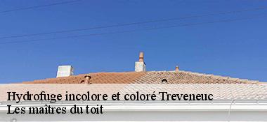 Hydrofuge incolore et coloré  22410