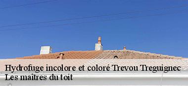 Hydrofuge incolore et coloré  22660