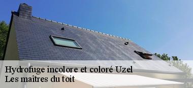 Hydrofuge incolore et coloré  22460