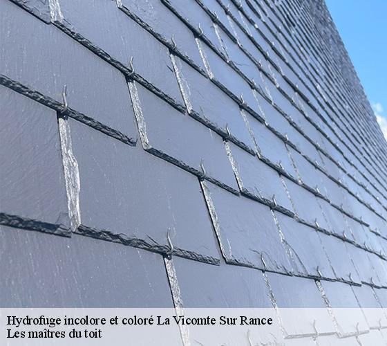 Hydrofuge incolore et coloré  22690