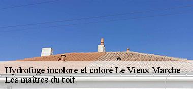 Hydrofuge incolore et coloré  22420