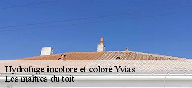 Hydrofuge incolore et coloré  22930