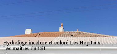 Hydrofuge incolore et coloré  22430