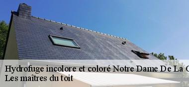 Hydrofuge incolore et coloré  22410