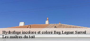 Hydrofuge incolore et coloré  22300