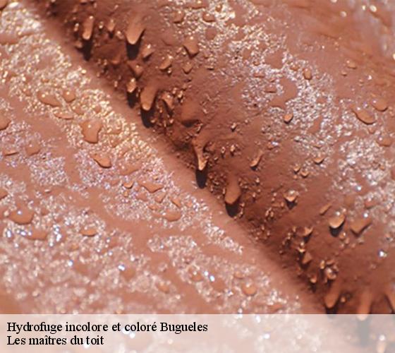 Hydrofuge incolore et coloré  22710