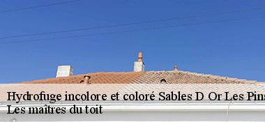 Hydrofuge incolore et coloré  22240