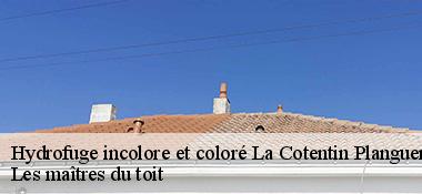Hydrofuge incolore et coloré 22400