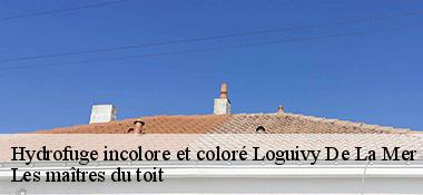 Hydrofuge incolore et coloré  22620