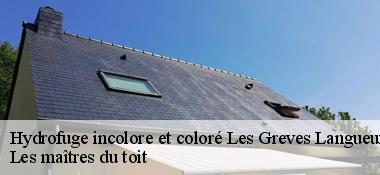 Hydrofuge incolore et coloré  22360