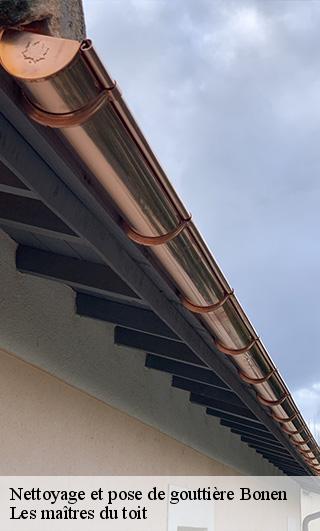 Nettoyage et pose de gouttière  22110