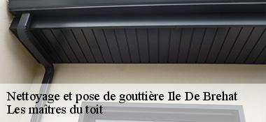 Nettoyage et pose de gouttière 22870