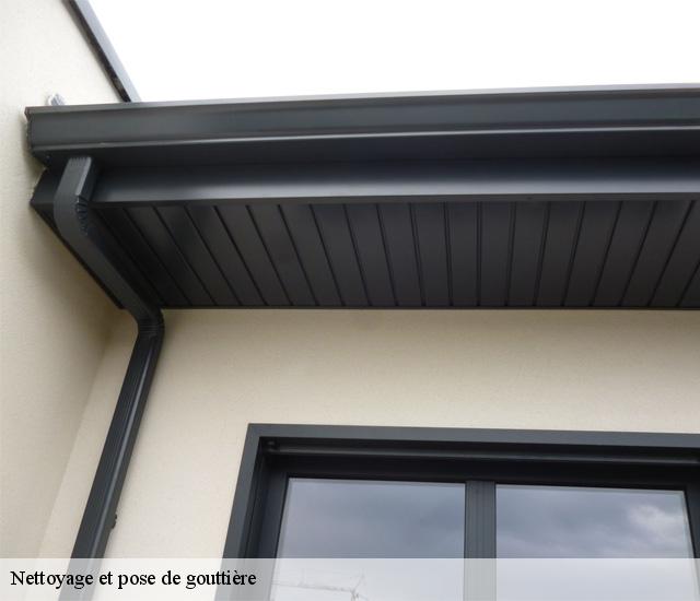 Nettoyage et pose de gouttière 22160