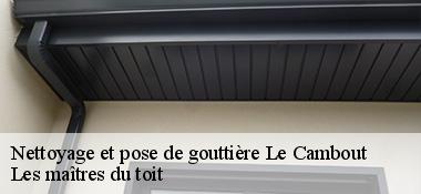 Nettoyage et pose de gouttière 22210