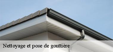 Nettoyage et pose de gouttière 22800