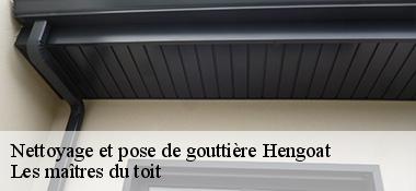 Nettoyage et pose de gouttière  22450