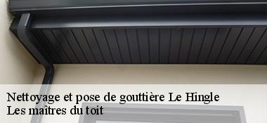 Nettoyage et pose de gouttière  22100