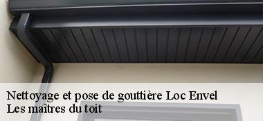 Nettoyage et pose de gouttière  22810