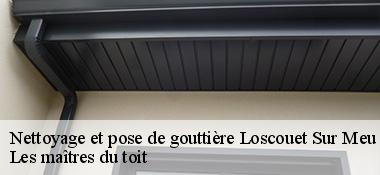 Nettoyage et pose de gouttière  22230