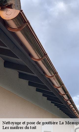 Nettoyage et pose de gouttière 22440