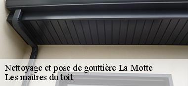 Nettoyage et pose de gouttière  22600