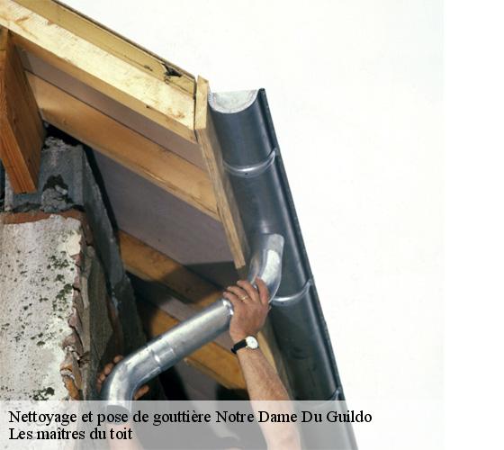 Nettoyage et pose de gouttière 22380