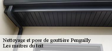 Nettoyage et pose de gouttière  22510