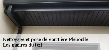 Nettoyage et pose de gouttière  22550