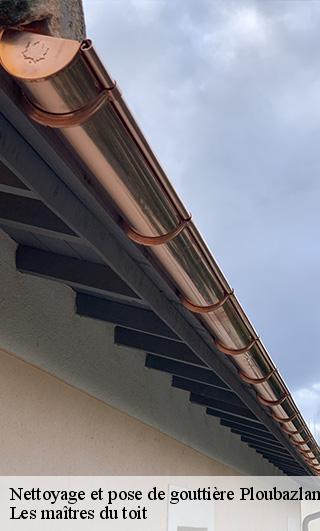 Nettoyage et pose de gouttière 22620