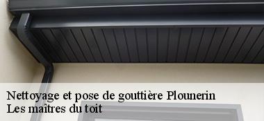 Nettoyage et pose de gouttière 22780