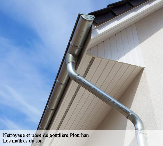 Nettoyage et pose de gouttière 22410
