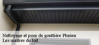 Nettoyage et pose de gouttière 22240