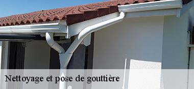 Nettoyage et pose de gouttière  22120